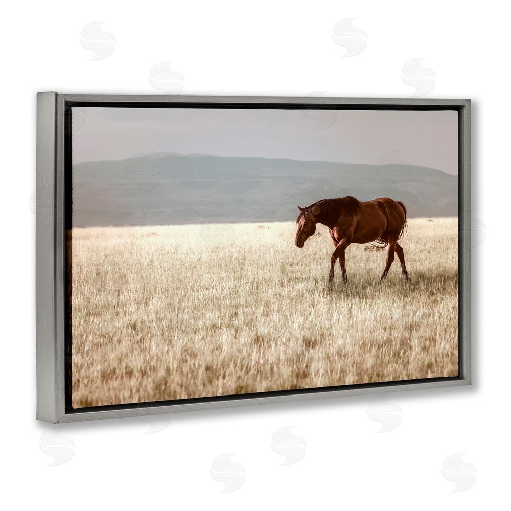 Christy Berry Serene Montana Stallion Gray Floating Frame Canvas Wall Art Print