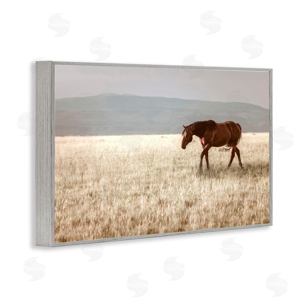 Christy Berry Serene Montana Stallion Gray Framed Giclee Wall Art Print