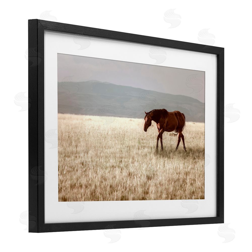 Christy Berry Serene Montana Stallion Black Framed Print Under Glass with White Mat Wall Art