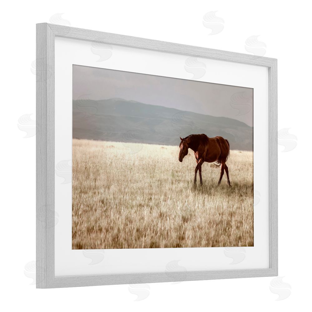 Christy Berry Serene Montana Stallion Gray Framed Print Under Glass with White Mat Wall Art