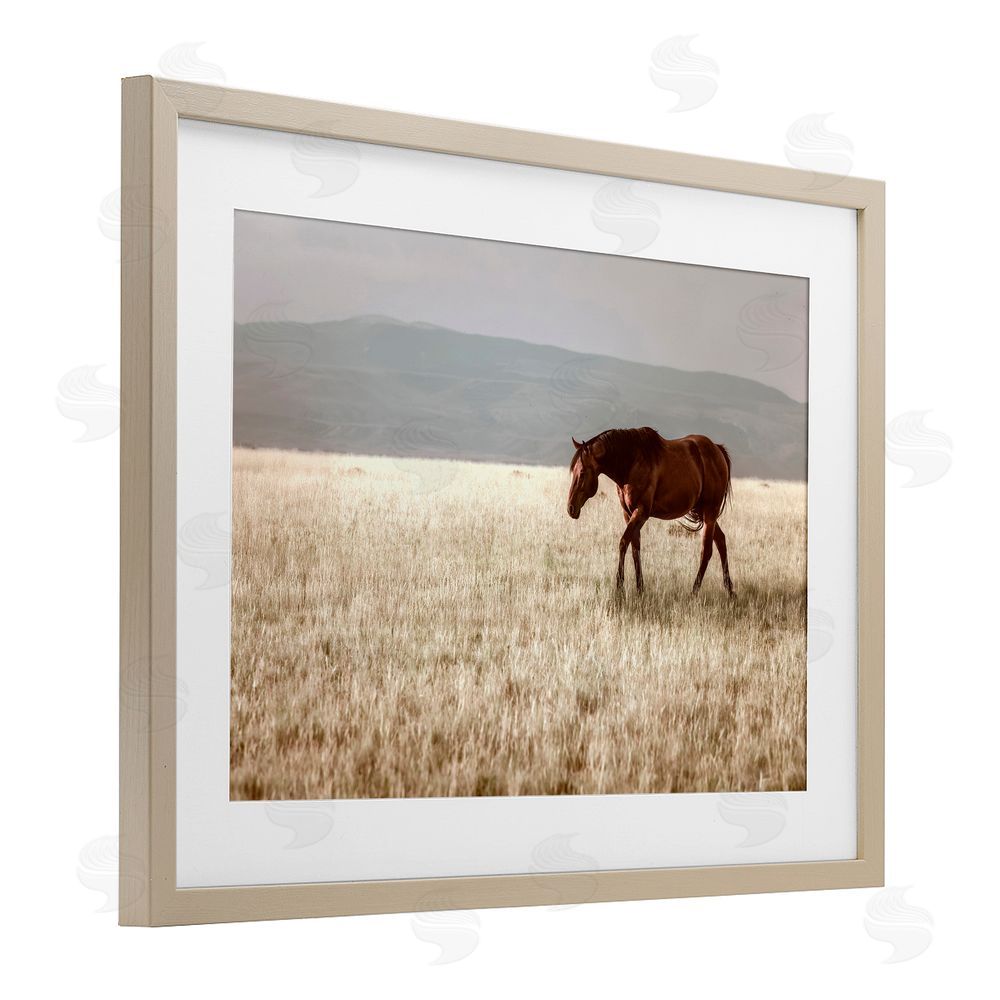 Christy Berry Serene Montana Stallion Birch Framed Print Under Glass with White Mat Wall Art