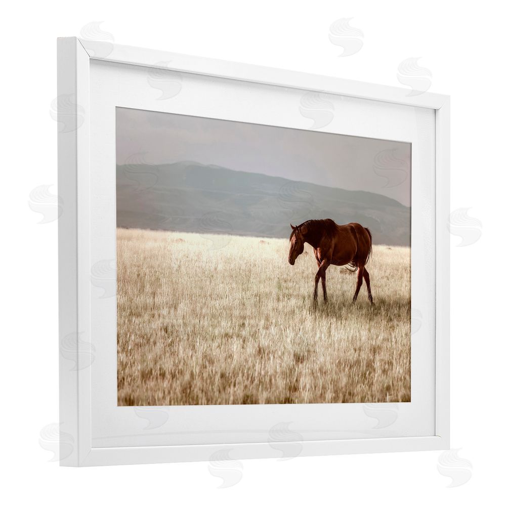 Christy Berry Serene Montana Stallion White Framed Print Under Glass with Mat Wall Art