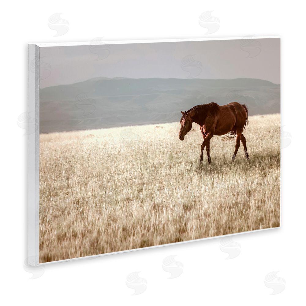 Christy Berry Serene Montana Stallion Wall Plaque Art Print