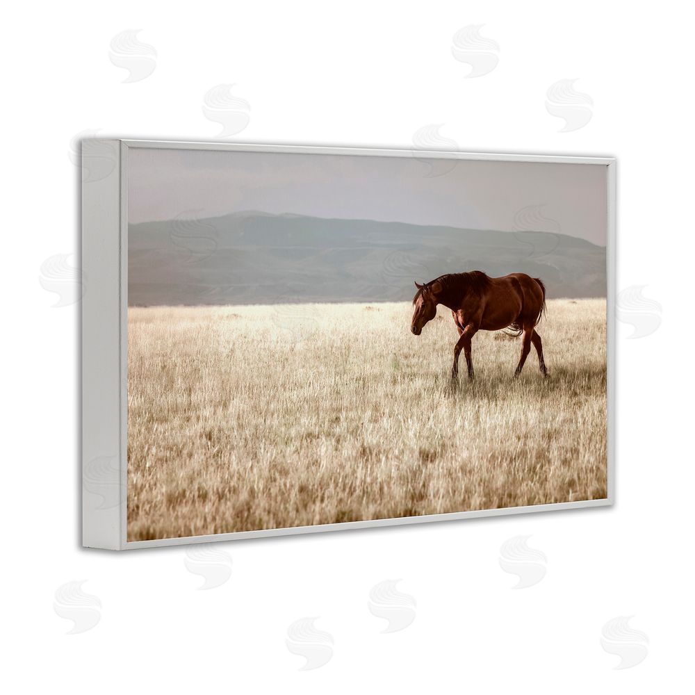 Christy Berry Serene Montana Stallion White Framed Giclee Wall Art Print