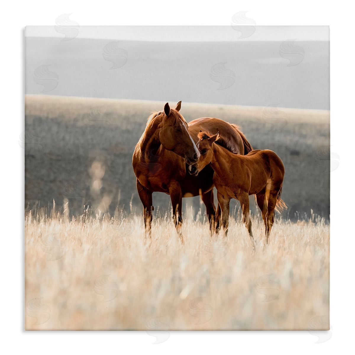 Christy Berry Montana Mares Landscape Canvas Wall Art Print