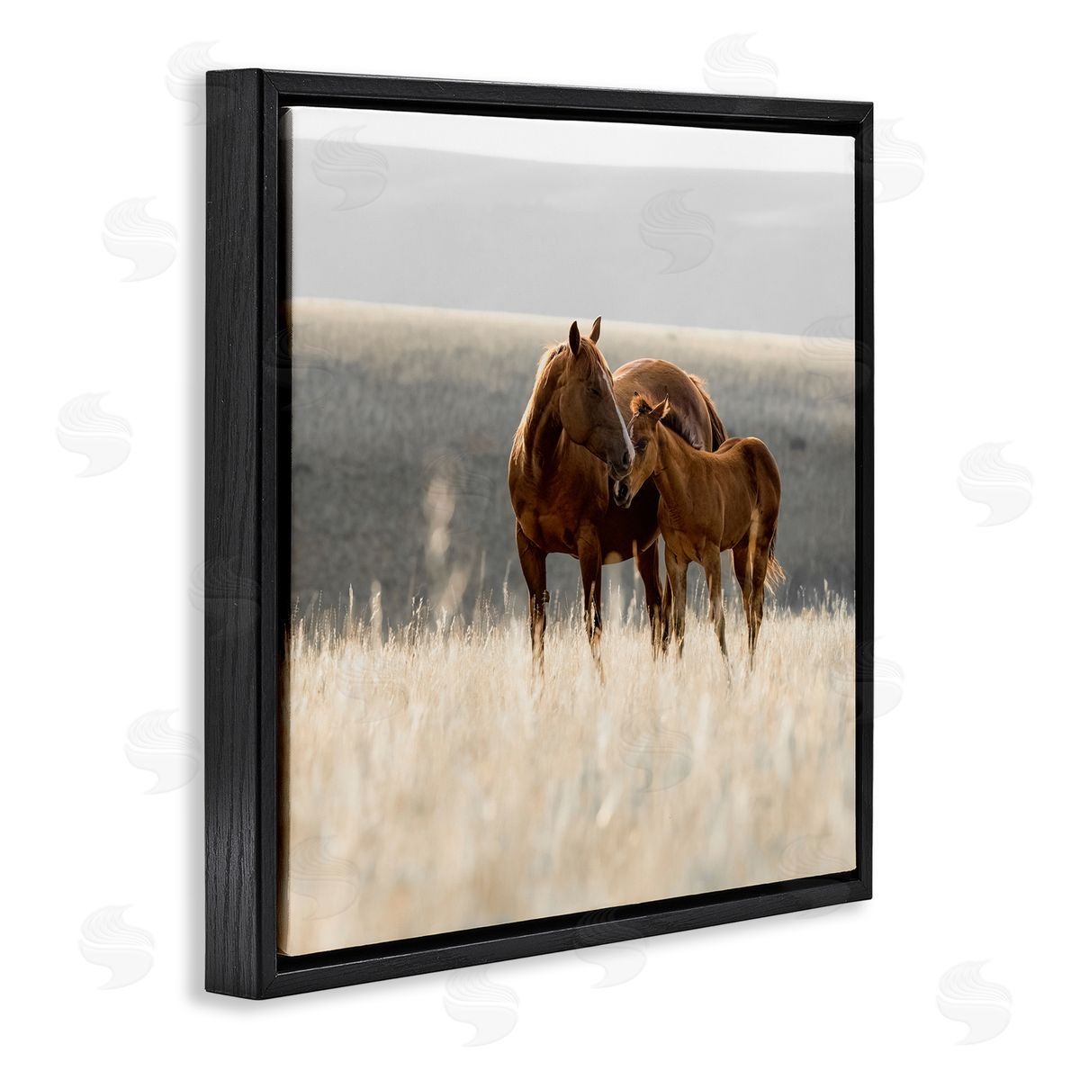 Christy Berry Montana Mares Landscape Black Floating Frame Canvas Wall Art Print