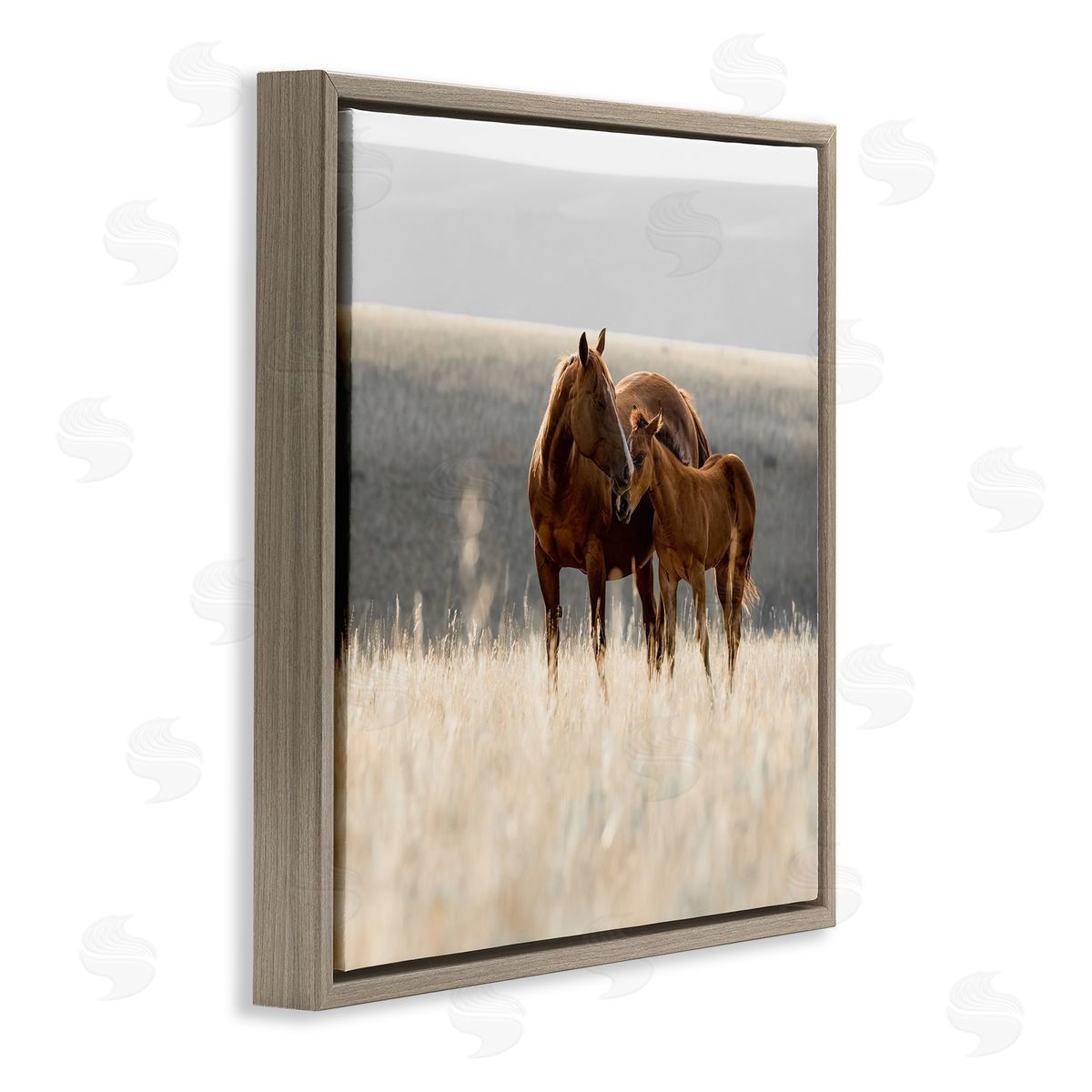 Christy Berry Montana Mares Landscape Brown Floating Frame Canvas Wall Art Print