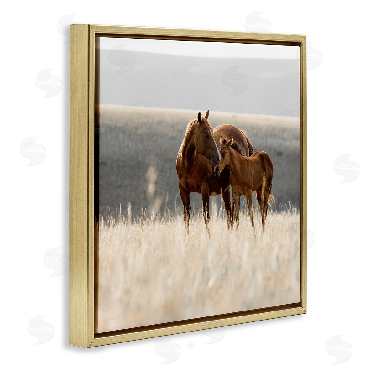 Christy Berry Montana Mares Landscape Gold Floating Frame Canvas Wall Art Print
