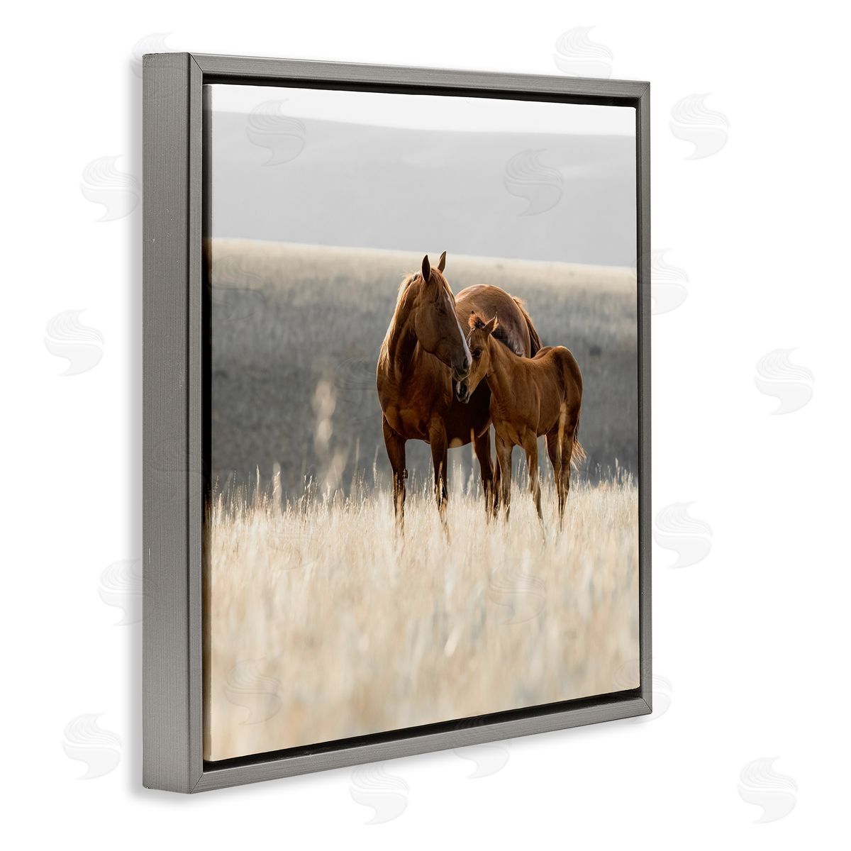 Christy Berry Montana Mares Landscape Gray Floating Frame Canvas Wall Art Print