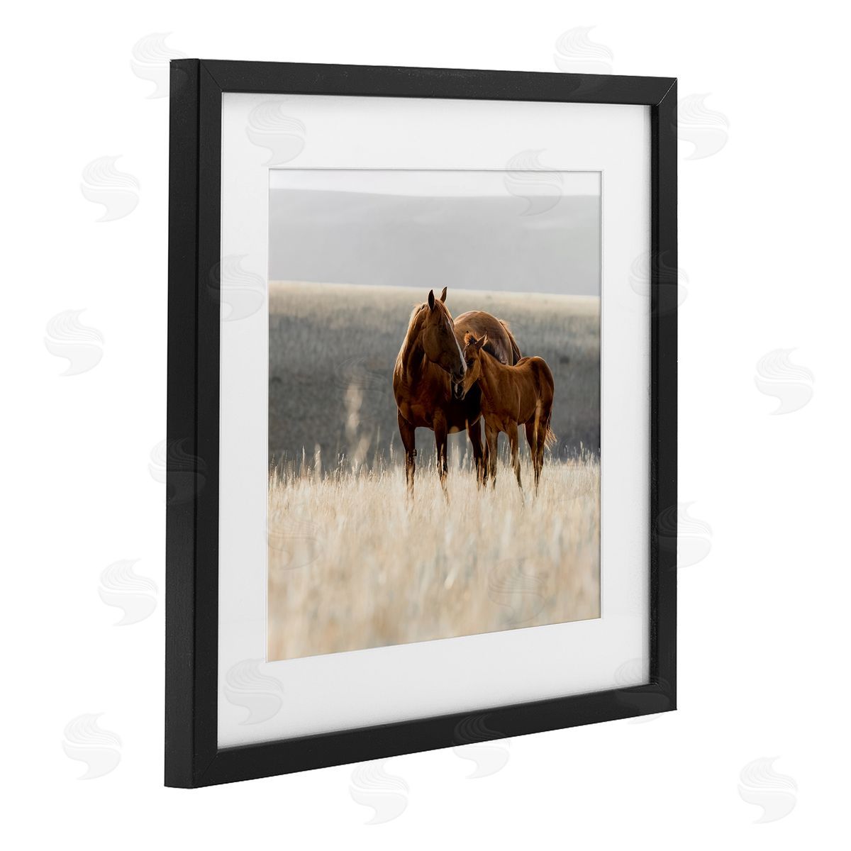 Christy Berry Montana Mares Landscape Black Framed Print Under Glass with White Mat Wall Art