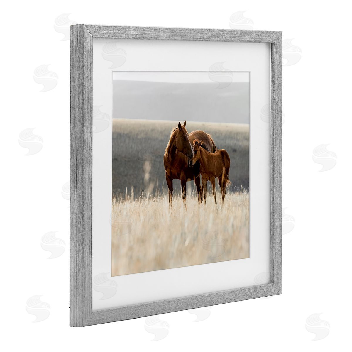Christy Berry Montana Mares Landscape Gray Framed Print Under Glass with White Mat Wall Art