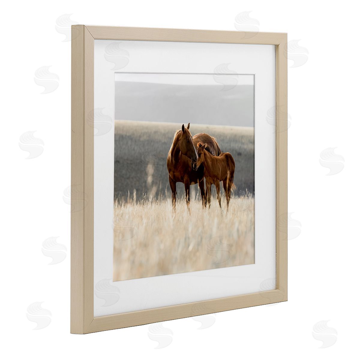 Christy Berry Montana Mares Landscape Birch Framed Print Under Glass with White Mat Wall Art