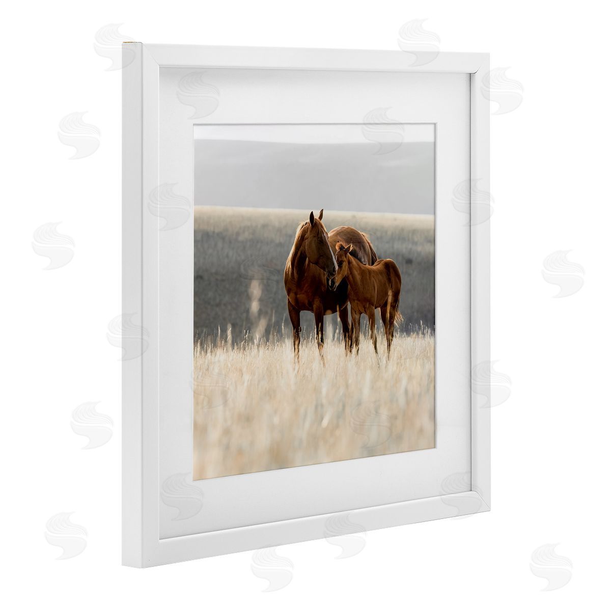 Christy Berry Montana Mares Landscape White Framed Print Under Glass with Mat Wall Art