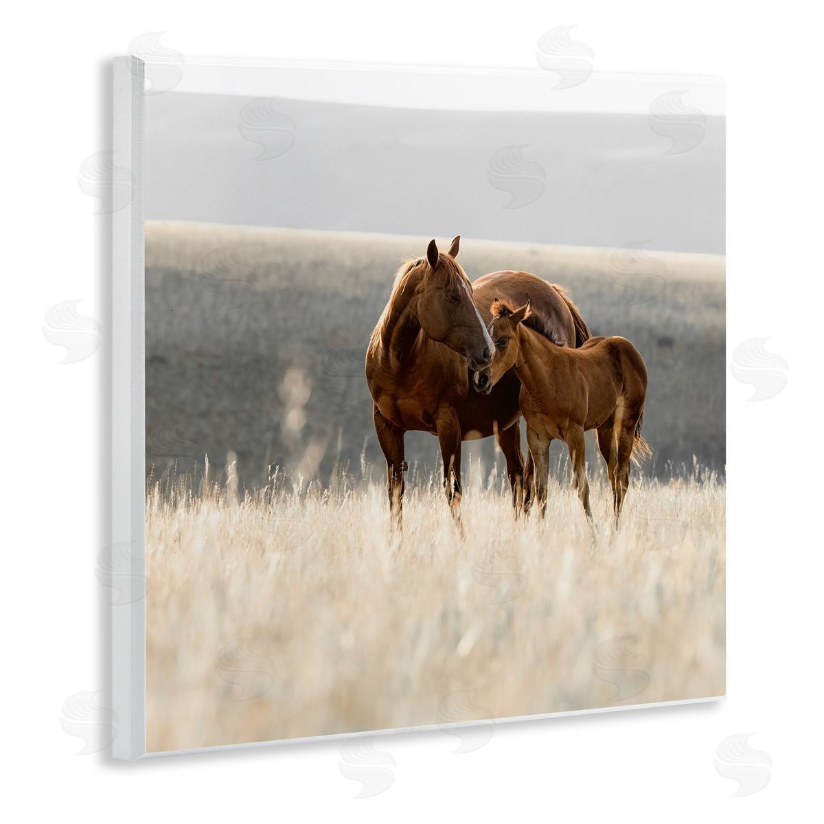 Christy Berry Montana Mares Landscape Wall Plaque Art Print