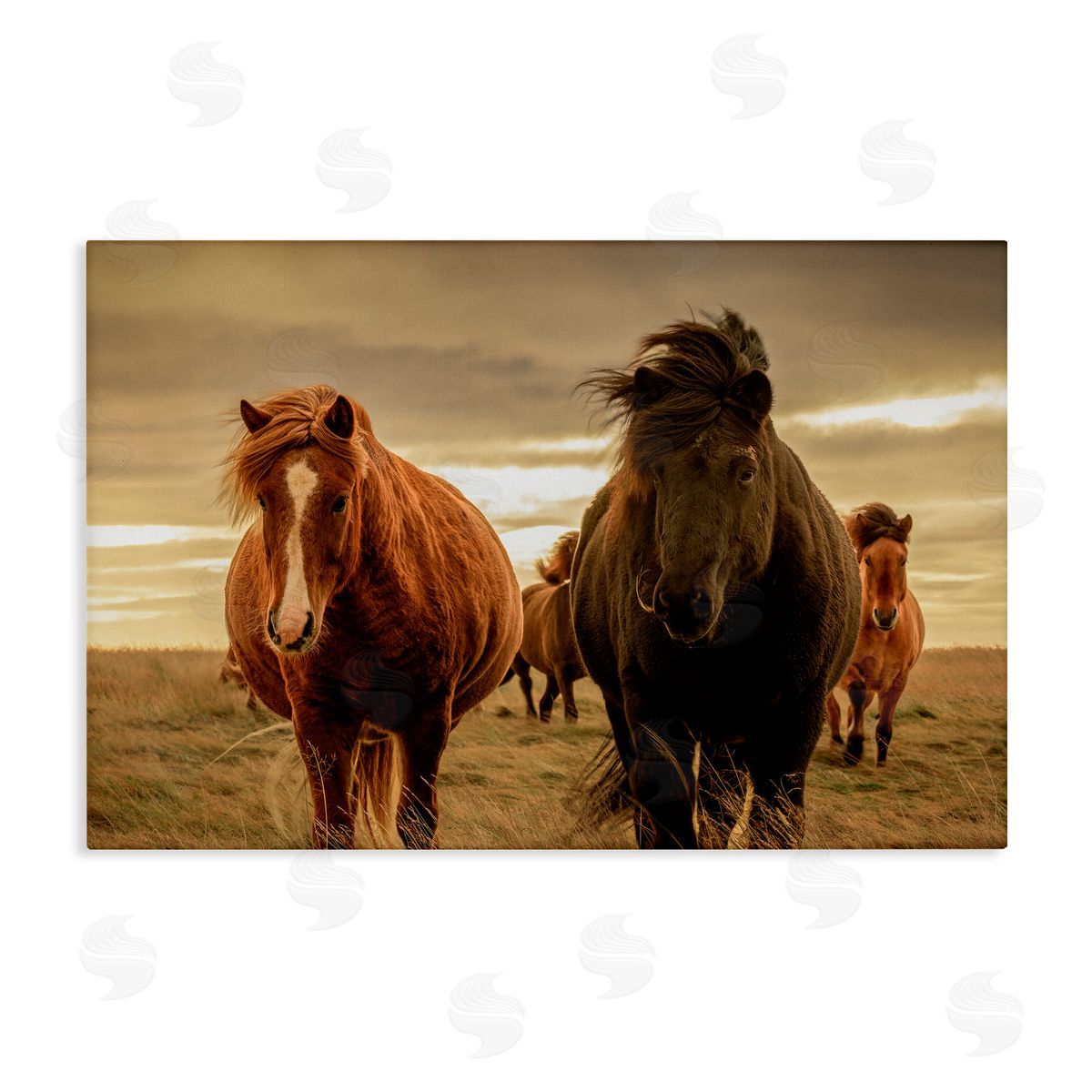 Christy Berry Icelandic Afterglow Horses Canvas Wall Art Print