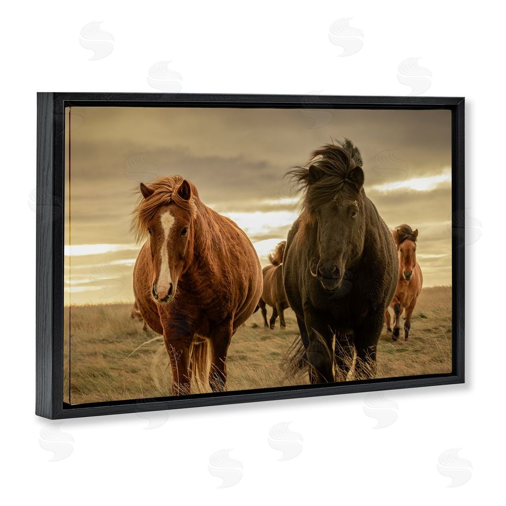 Christy Berry Icelandic Afterglow Horses Black Floating Frame Canvas Wall Art Print