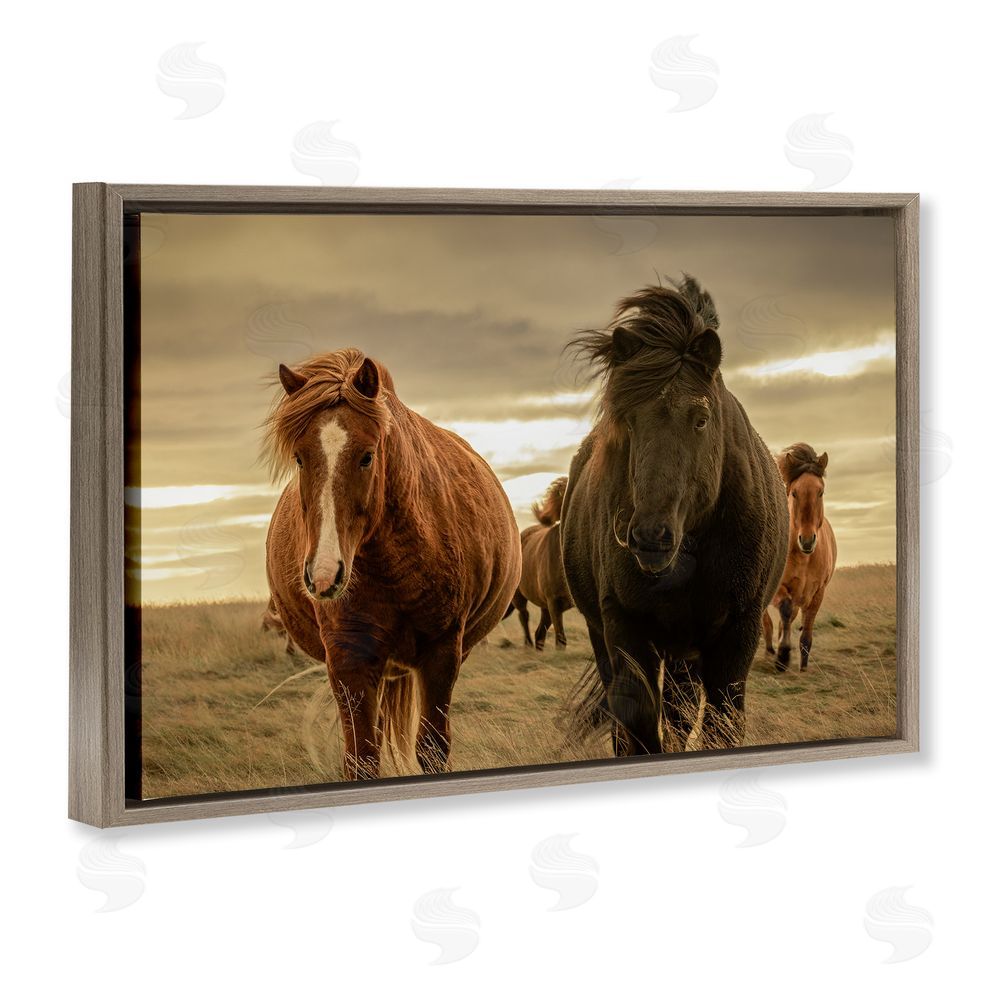 Christy Berry Icelandic Afterglow Horses Brown Floating Frame Canvas Wall Art Print