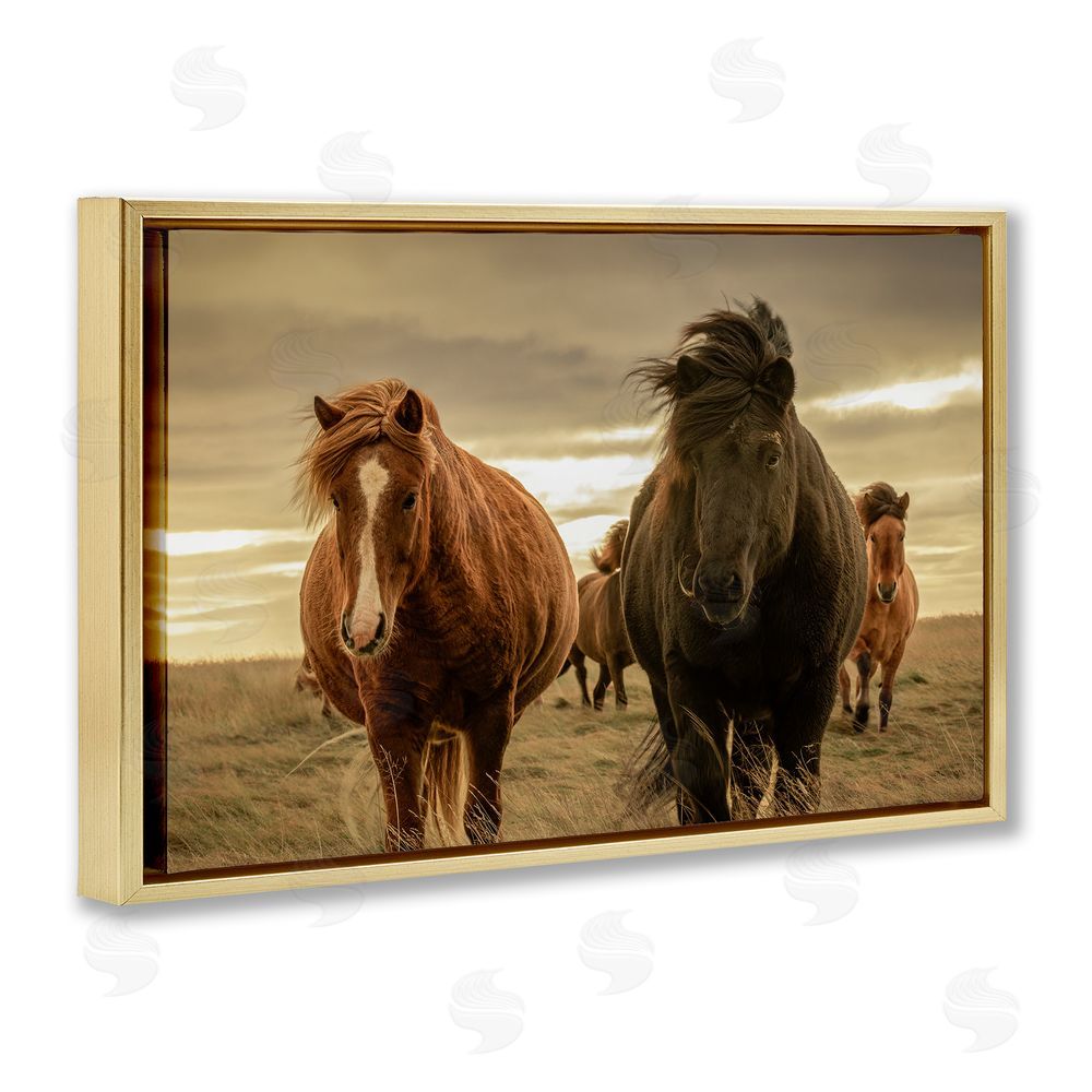 Christy Berry Icelandic Afterglow Horses Gold Floating Frame Canvas Wall Art Print
