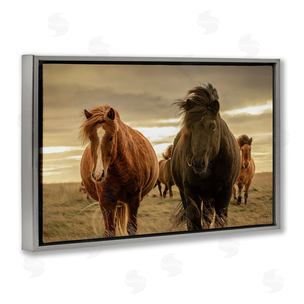Christy Berry Icelandic Afterglow Horses Gray Floating Frame Canvas Wall Art Print