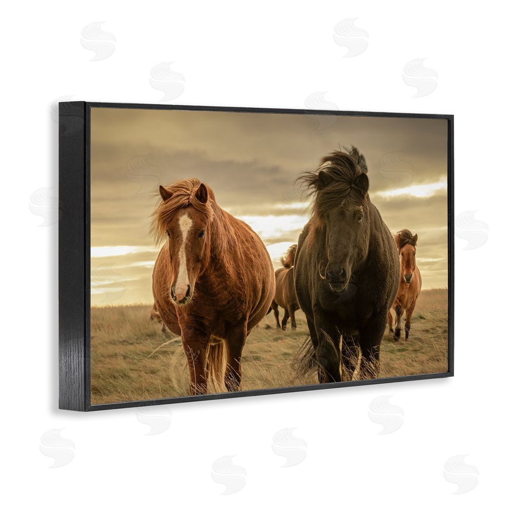 Christy Berry Icelandic Afterglow Horses Black Framed Giclee Wall Art Print