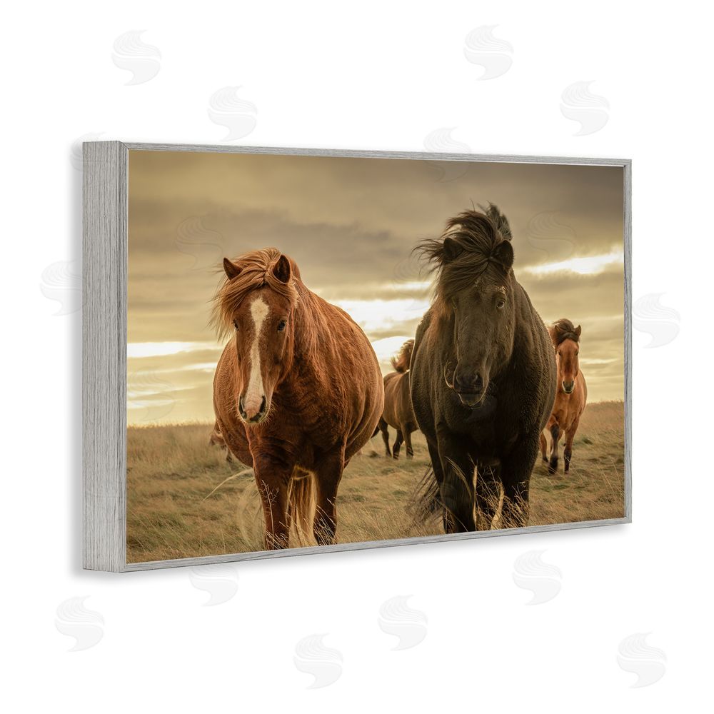 Christy Berry Icelandic Afterglow Horses Gray Framed Giclee Wall Art Print