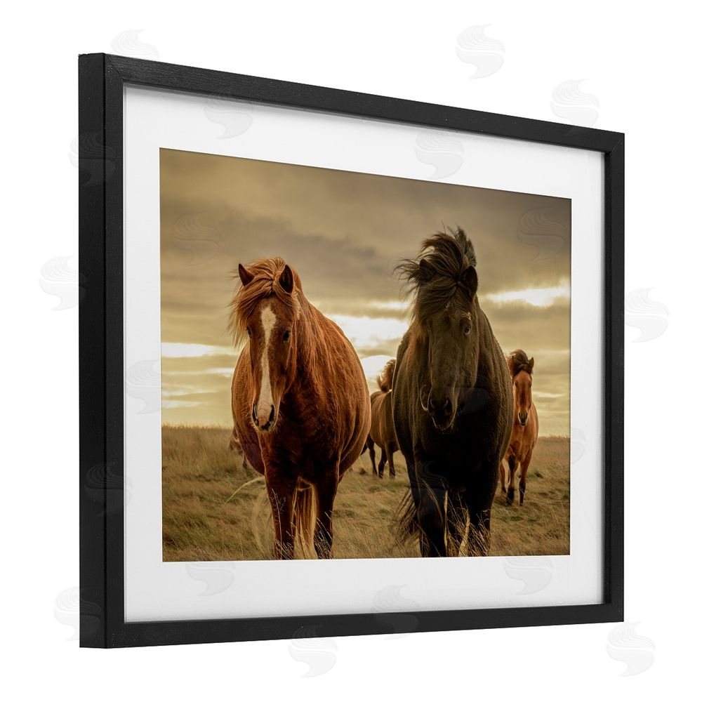 Christy Berry Icelandic Afterglow Horses Black Framed Print Under Glass with White Mat Wall Art