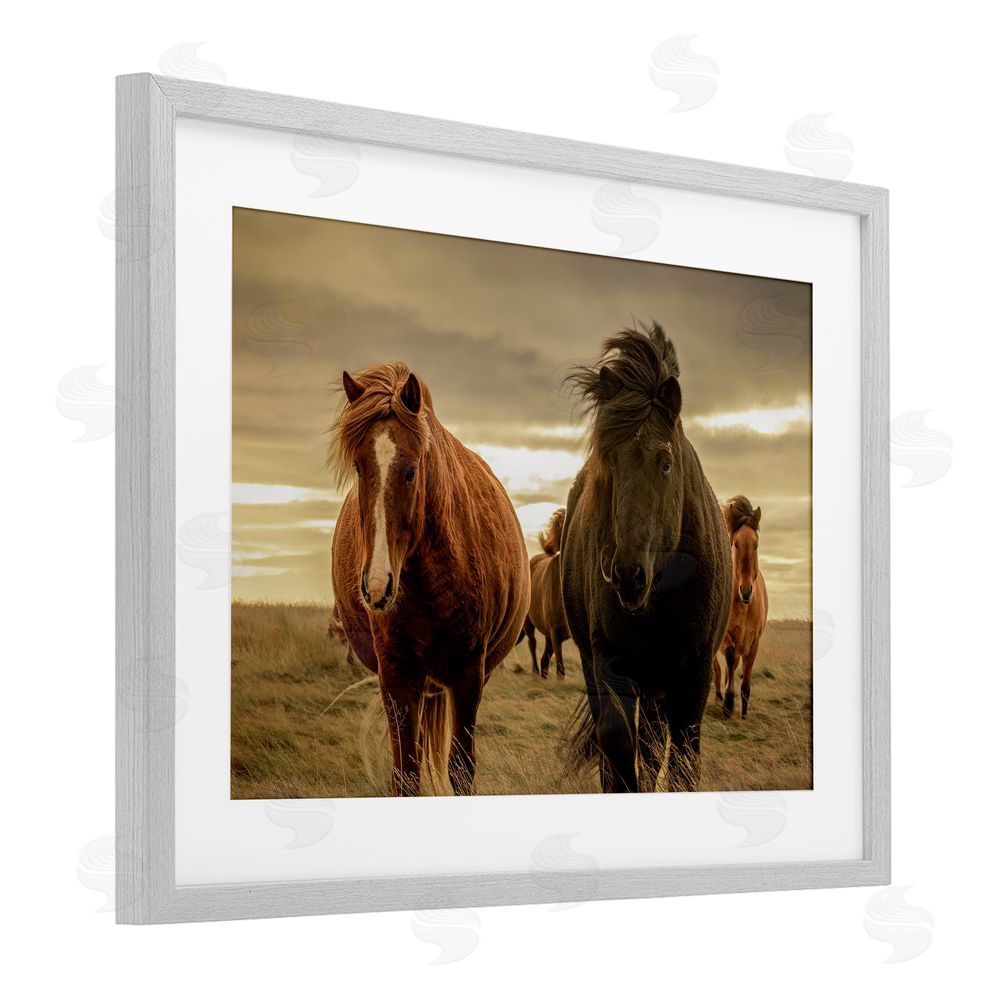 Christy Berry Icelandic Afterglow Horses Gray Framed Print Under Glass with White Mat Wall Art