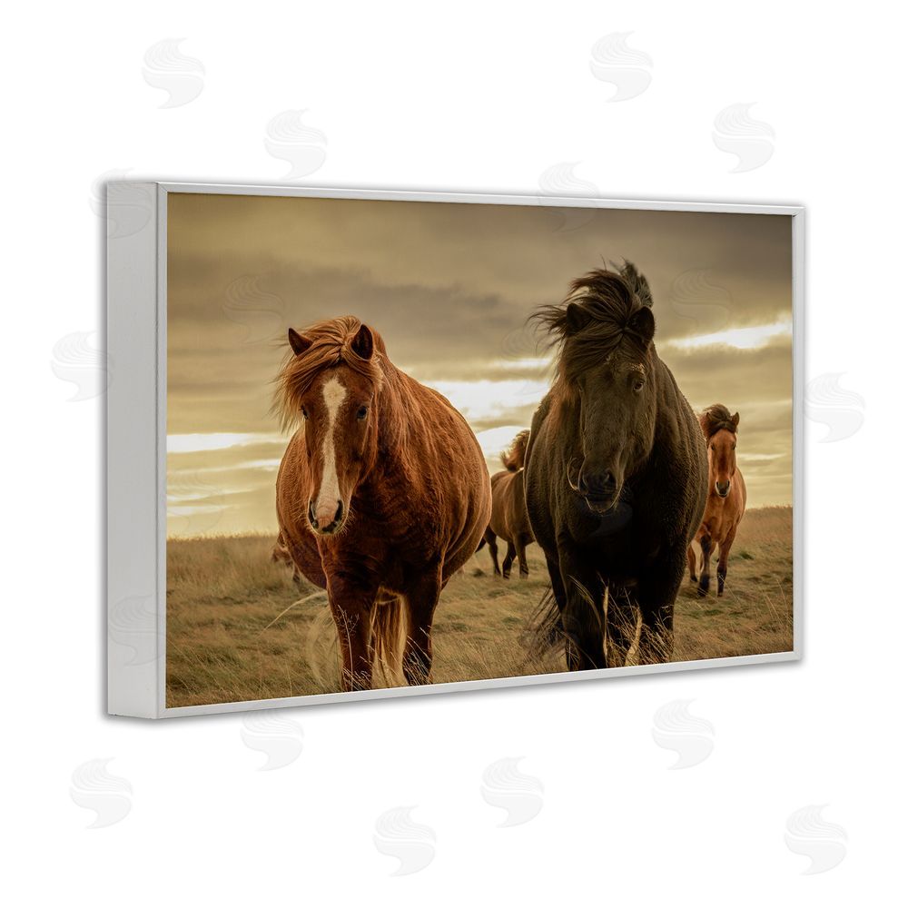 Christy Berry Icelandic Afterglow Horses White Framed Giclee Wall Art Print