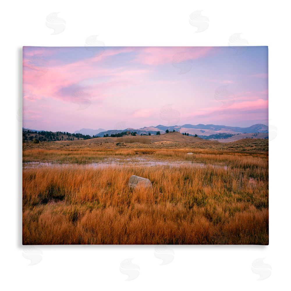 Jim Becia Morning Light, Rock & Grasses Canvas Wall Art Print