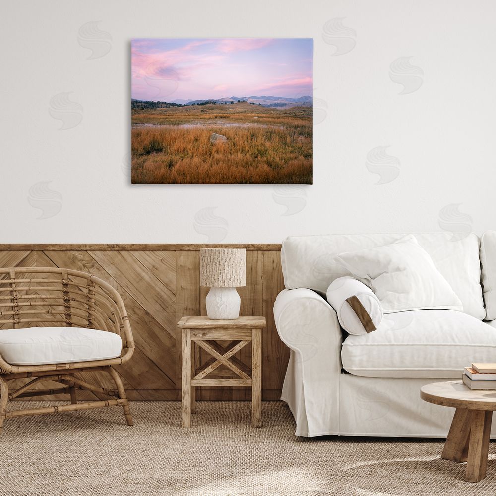 Jim Becia Morning Light, Rock & Grasses Canvas Art on Wall