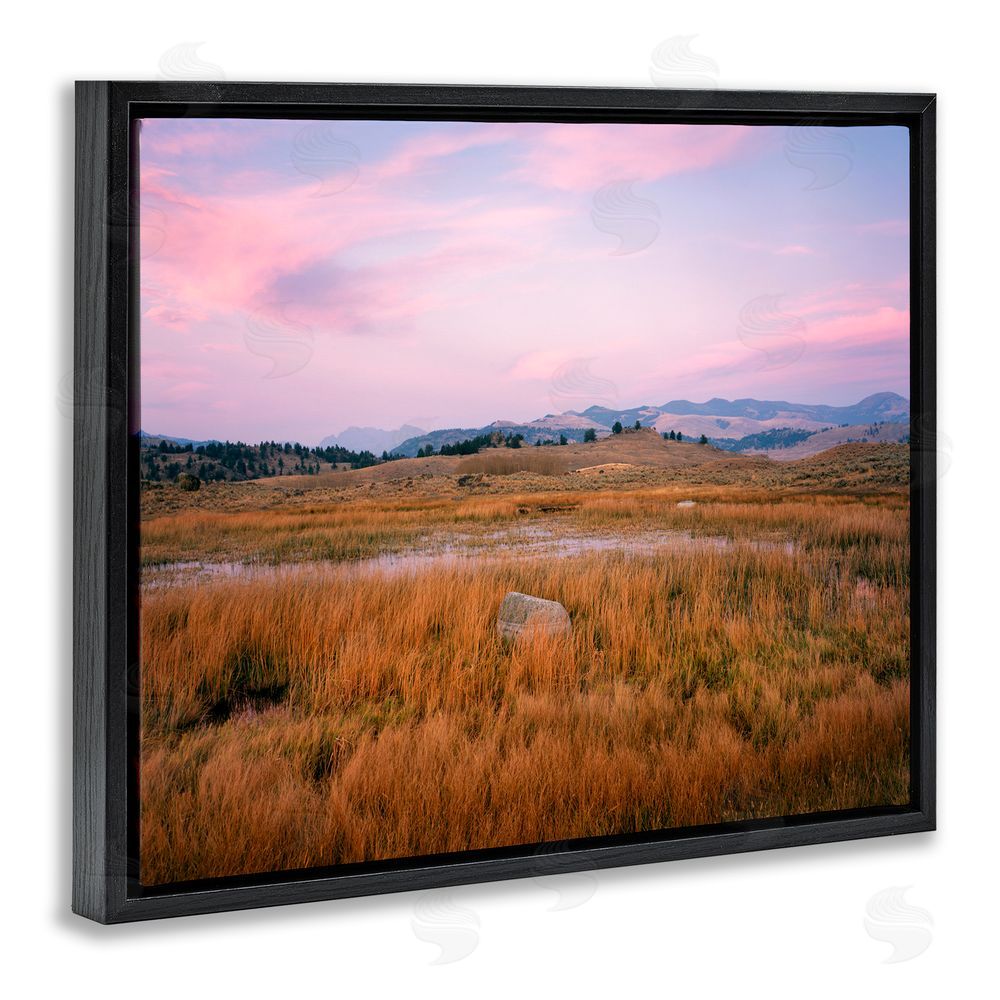 Jim Becia Morning Light, Rock & Grasses Black Floating Frame Canvas Wall Art Print