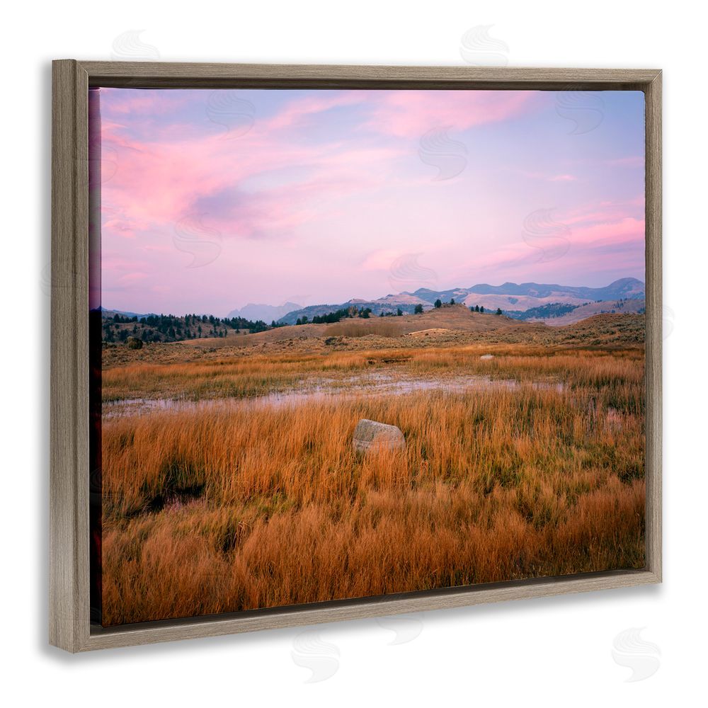 Jim Becia Morning Light, Rock & Grasses Brown Floating Frame Canvas Wall Art Print