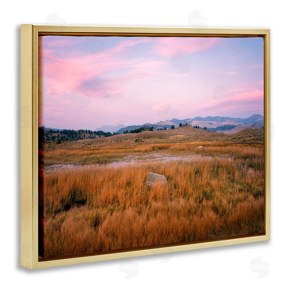 Jim Becia Morning Light, Rock & Grasses Gold Floating Frame Canvas Wall Art Print
