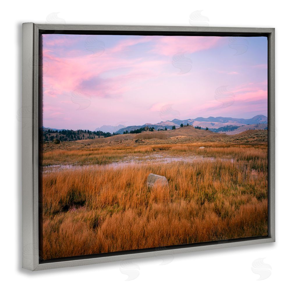 Jim Becia Morning Light, Rock & Grasses Gray Floating Frame Canvas Wall Art Print