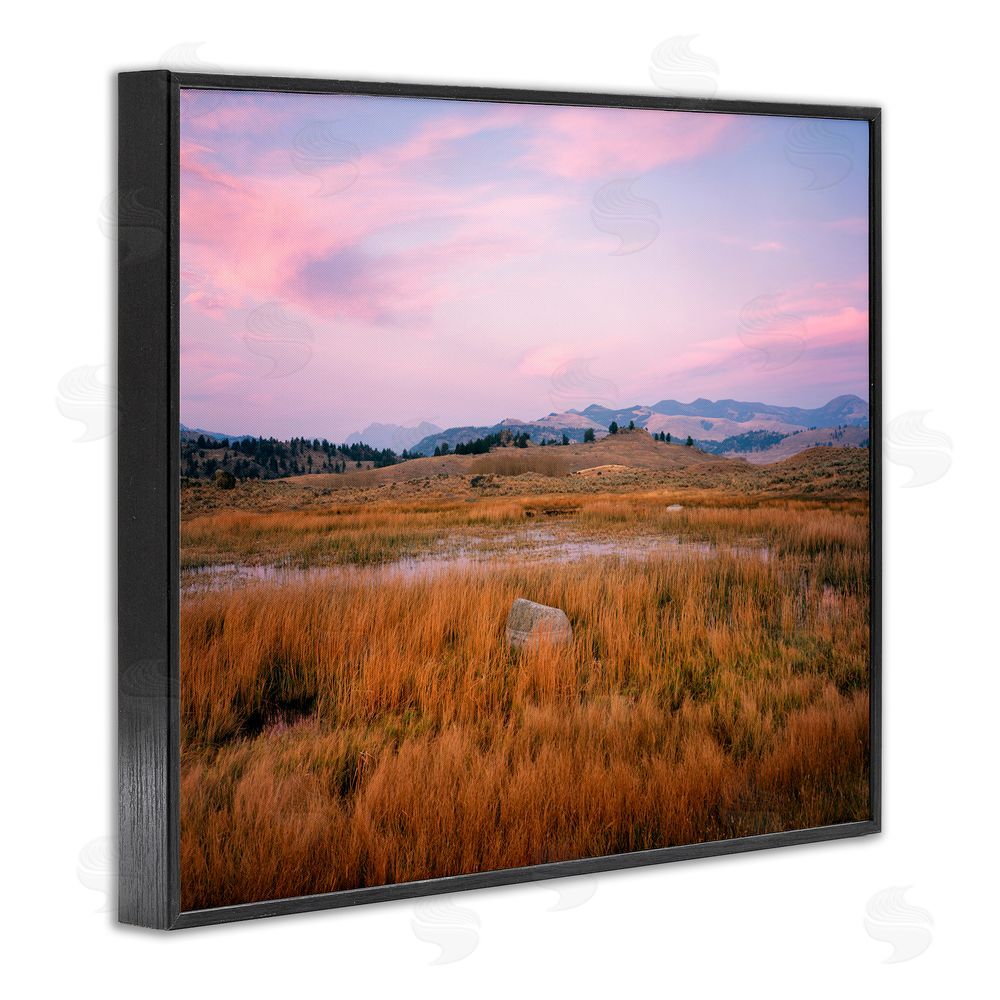 Jim Becia Morning Light, Rock & Grasses Black Framed Giclee Wall Art Print