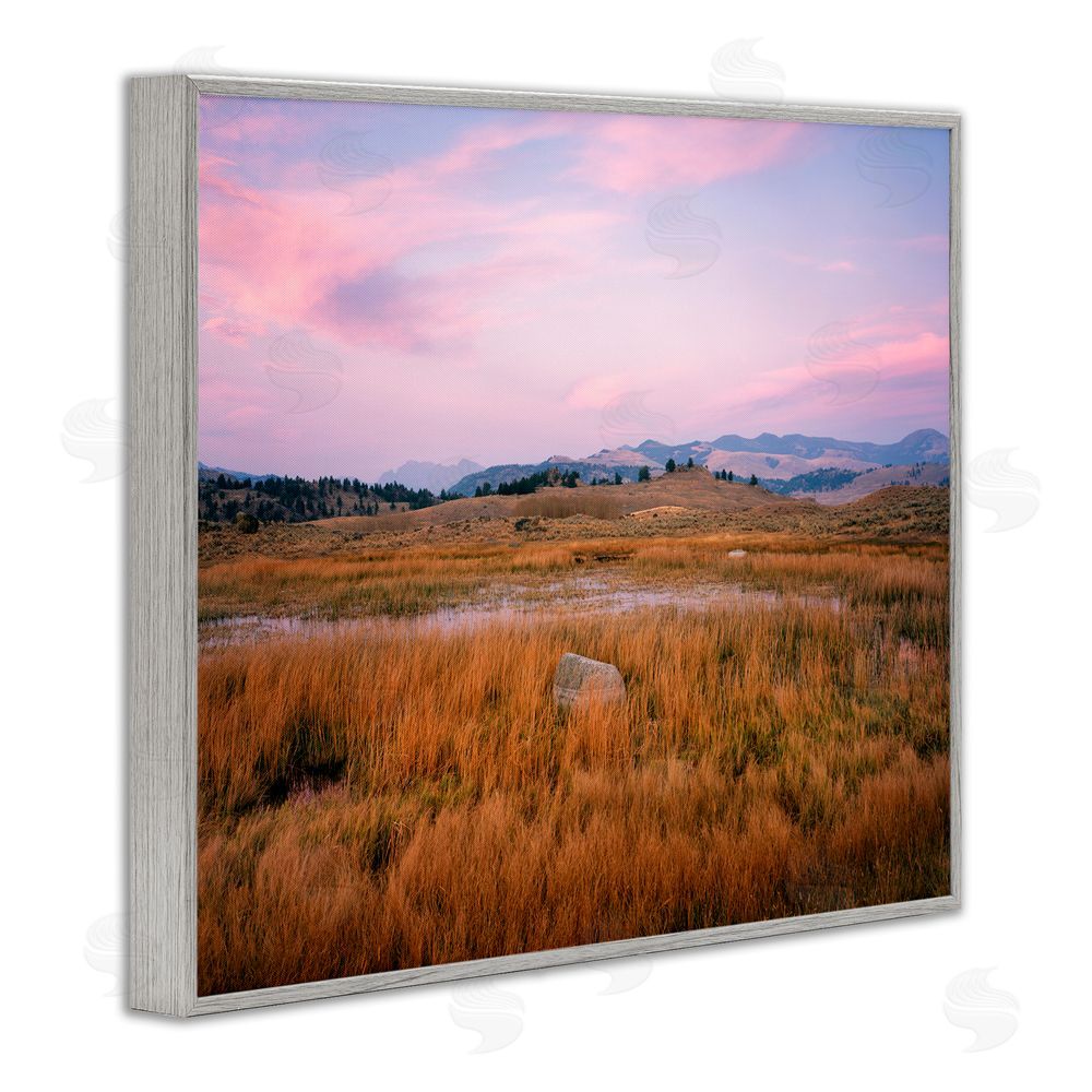 Jim Becia Morning Light, Rock & Grasses Gray Framed Giclee Wall Art Print