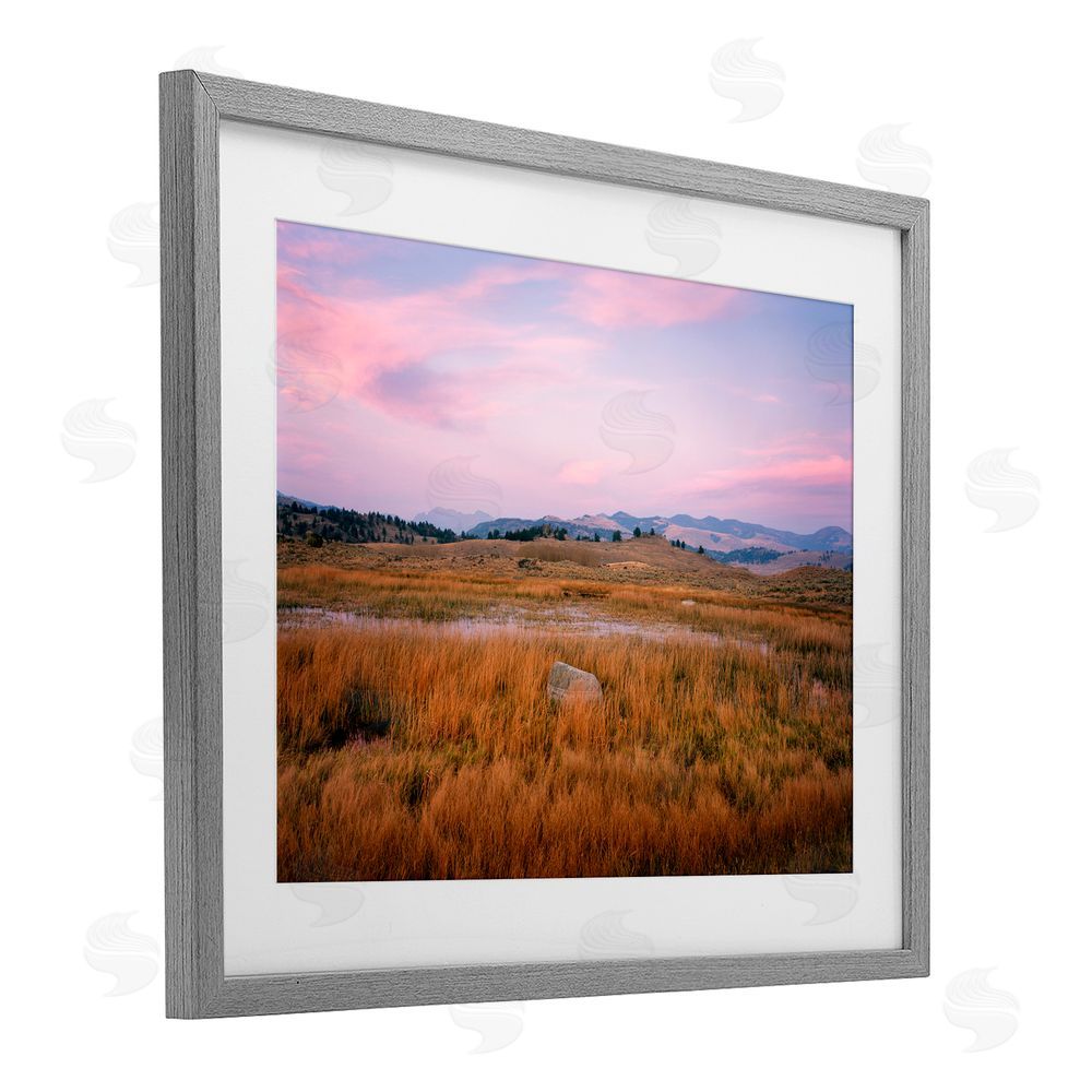 Jim Becia Morning Light, Rock & Grasses Gray Framed Print Under Glass with White Mat Wall Art