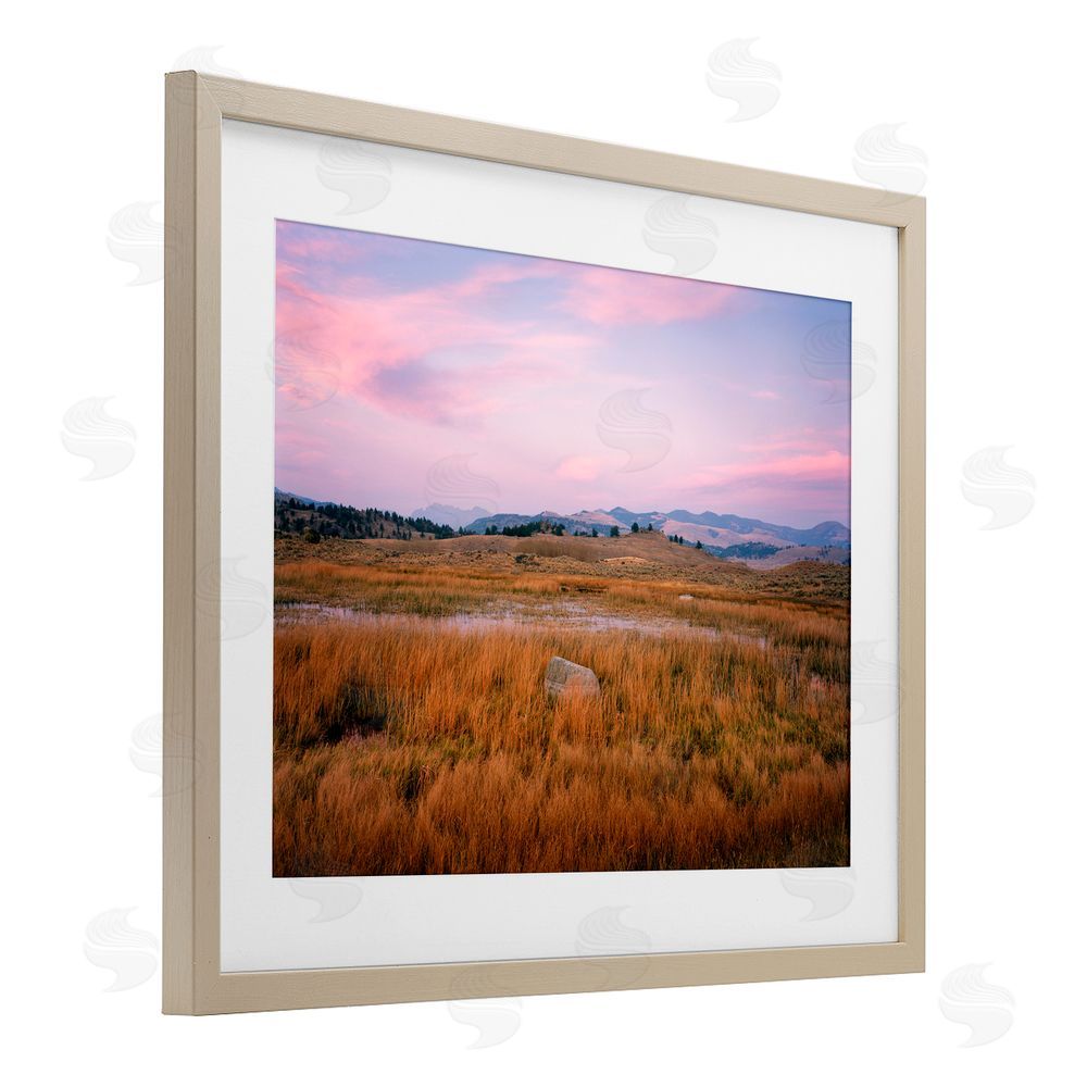 Jim Becia Morning Light, Rock & Grasses Birch Framed Print Under Glass with White Mat Wall Art
