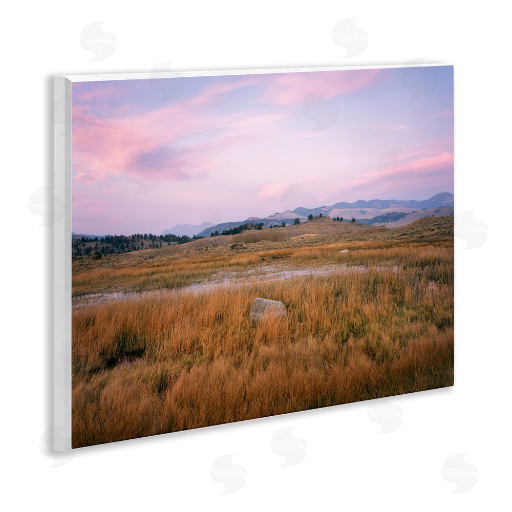 Jim Becia Morning Light, Rock & Grasses Wall Plaque Art Print