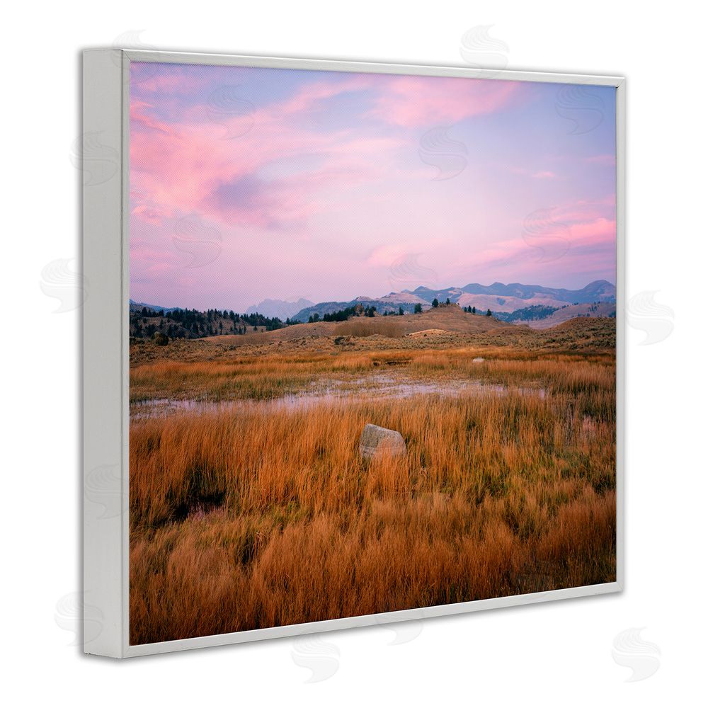 Jim Becia Morning Light, Rock & Grasses White Framed Giclee Wall Art Print