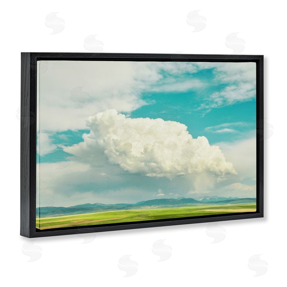 Annie Bailey Art Happy Accidents Clouds Black Floating Frame Canvas Wall Art Print