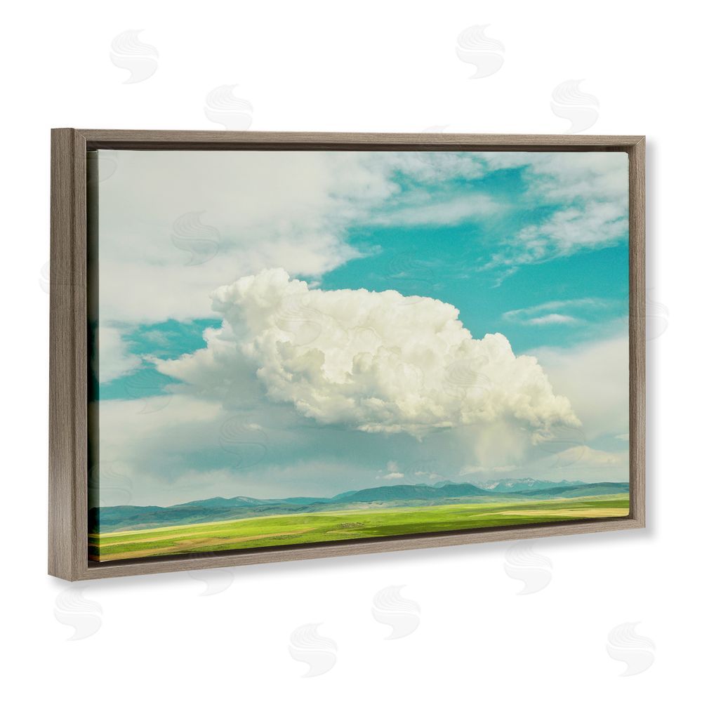 Annie Bailey Art Happy Accidents Clouds Brown Floating Frame Canvas Wall Art Print