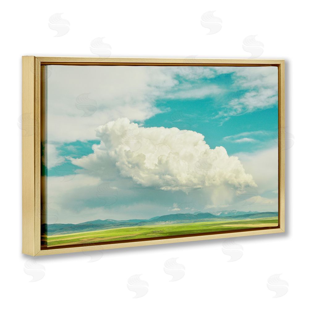 Annie Bailey Art Happy Accidents Clouds Gold Floating Frame Canvas Wall Art Print