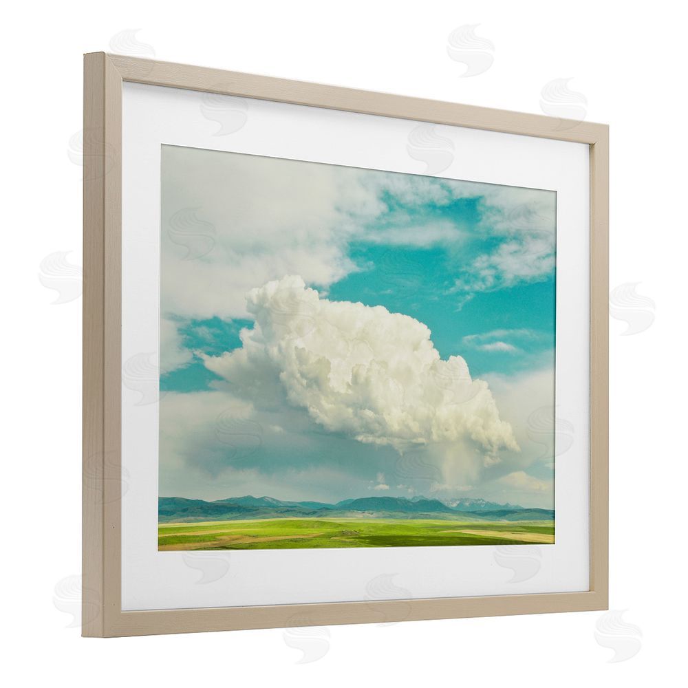 Annie Bailey Art Happy Accidents Clouds Birch Framed Print Under Glass with White Mat Wall Art