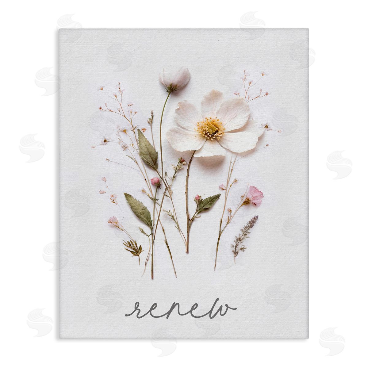Lettered and Lined Pressed Flowers Renew Stretched Canvas Wall Art Print