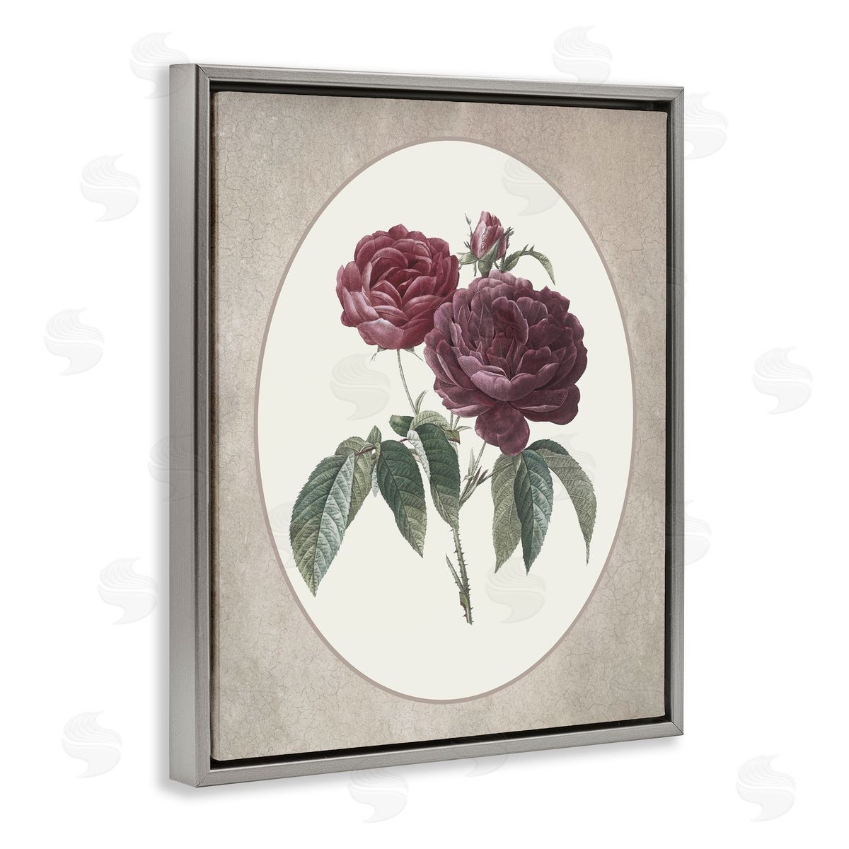 Lettered and Lined Vintage Blooms within Oval Gray Floating Frame Canvas Wall Art Print