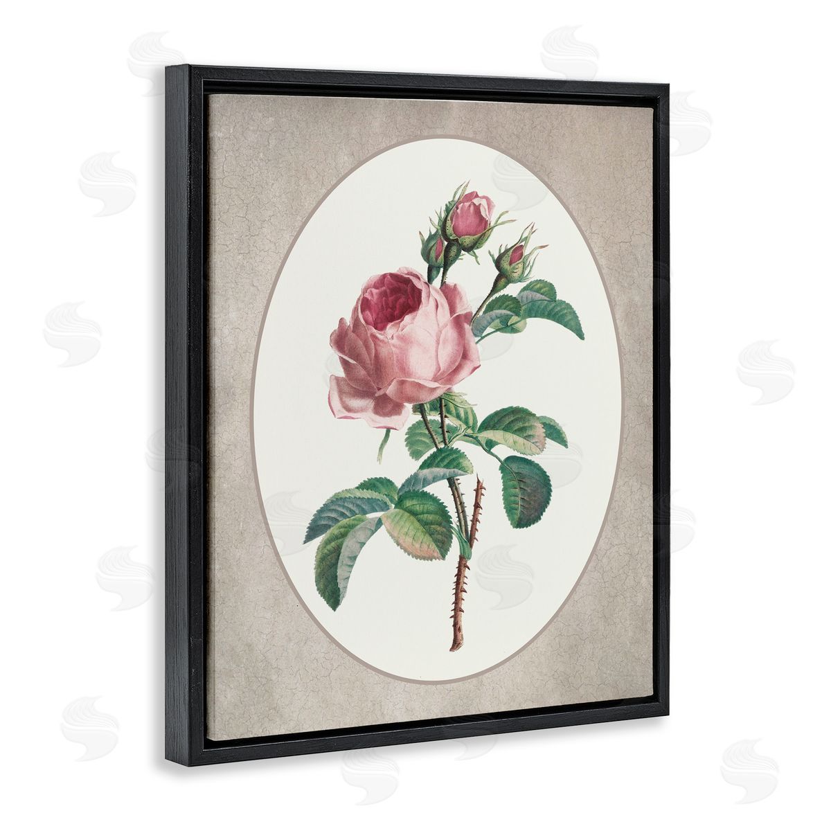 Lettered and Lined Vintage Rose within Oval Black Floating Frame Canvas Wall Art Print