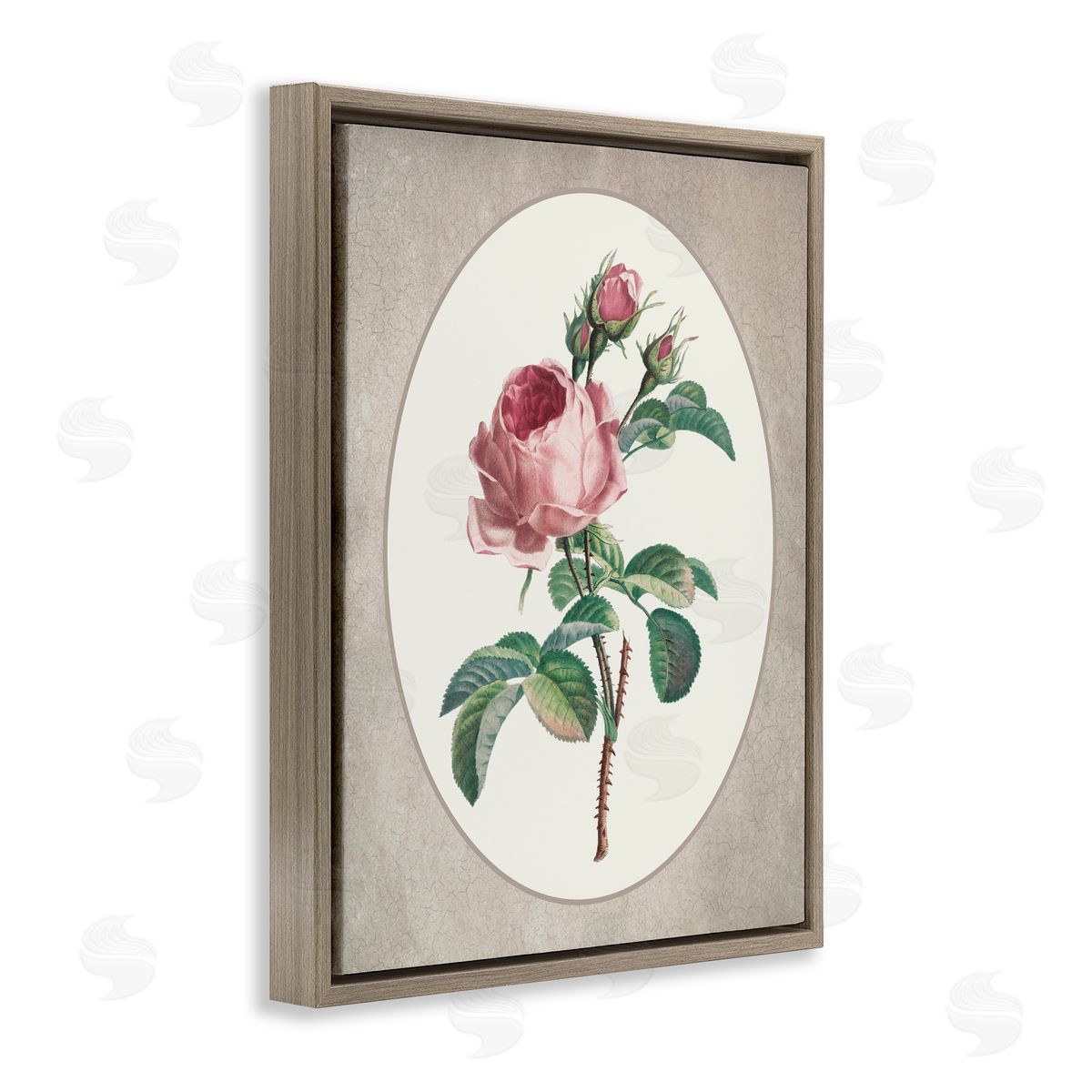 Lettered and Lined Vintage Rose within Oval Brown Floating Frame Canvas Wall Art Print