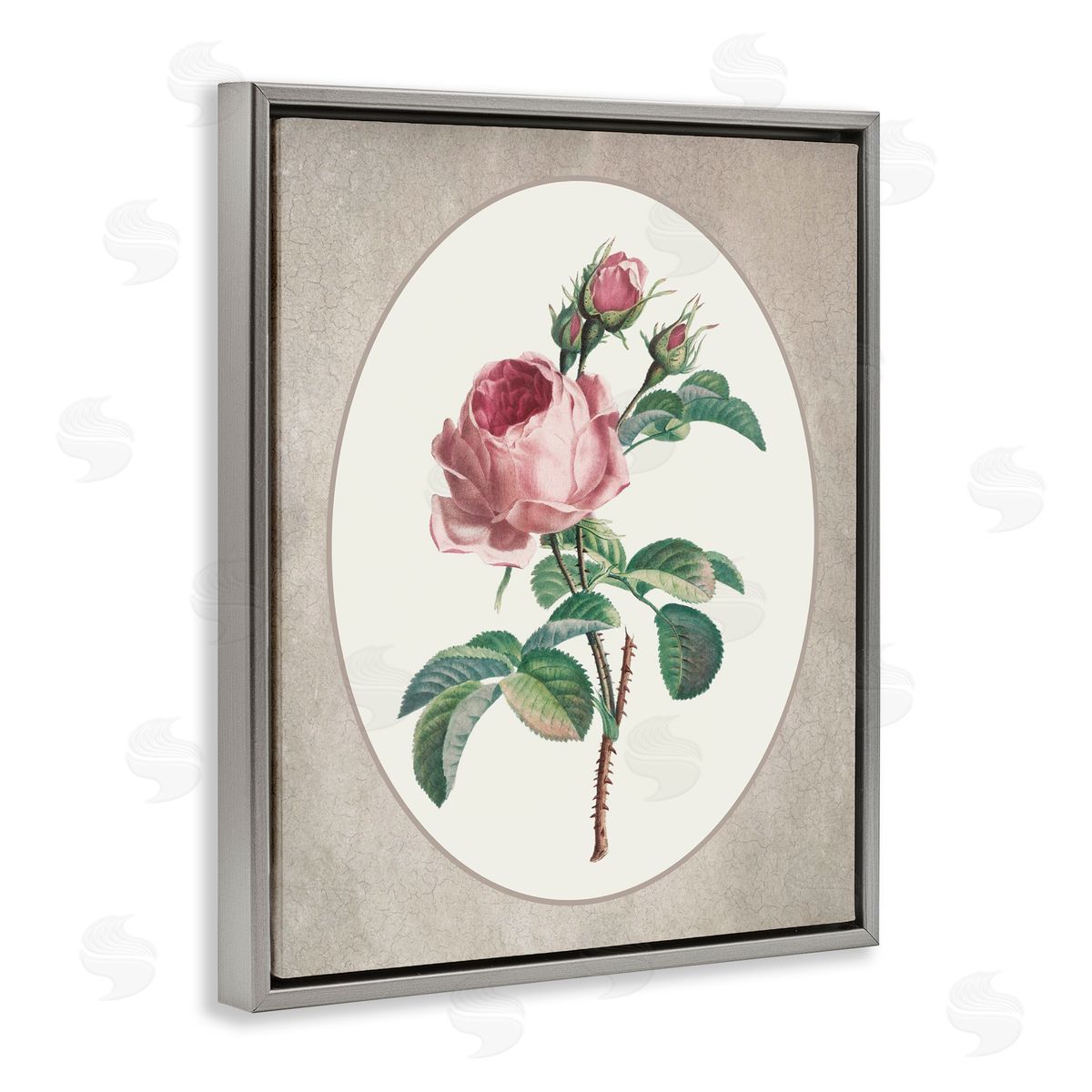 Lettered and Lined Vintage Rose within Oval Gray Floating Frame Canvas Wall Art Print