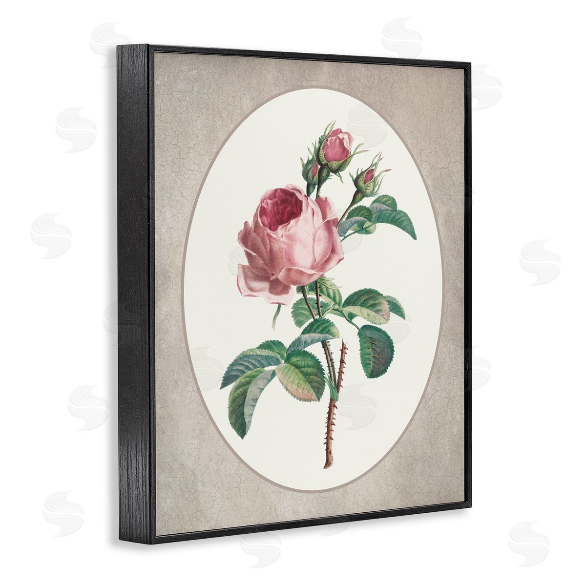 Lettered and Lined Vintage Rose within Oval Black Framed Giclee Print Wall Art